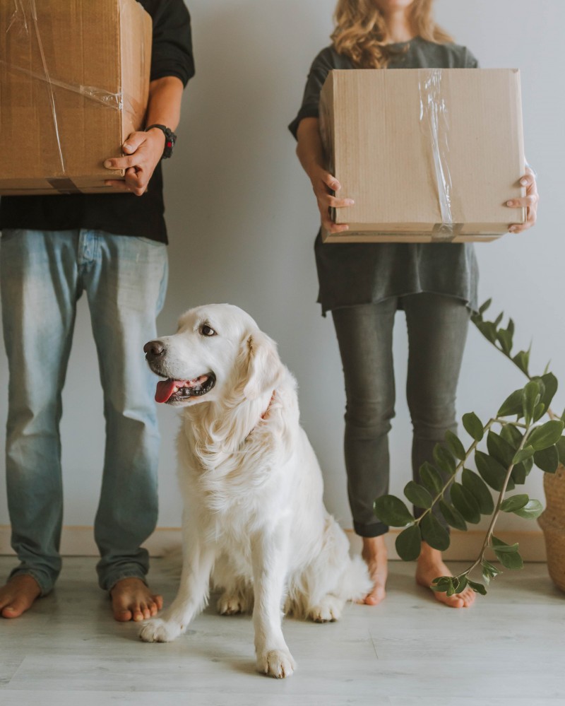 Finding the Right Removal Firm for Your Move
