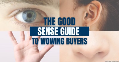 The Good Sense Guide to Wowing Buyers