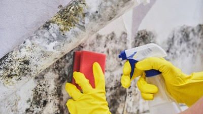 How to prevent mould and damp in rented properties
