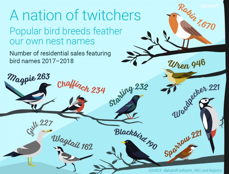 A NATION OF TWITCHERS