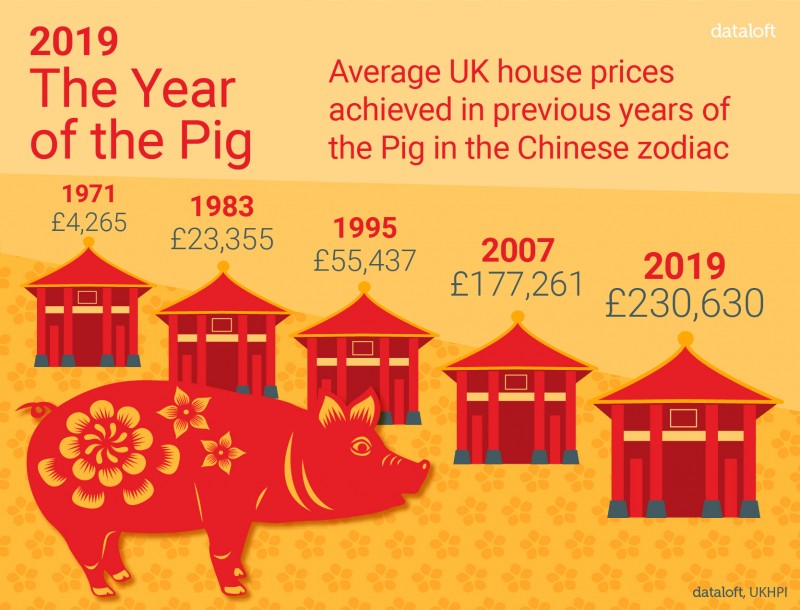 2019: THE YEAR OF THE PIG