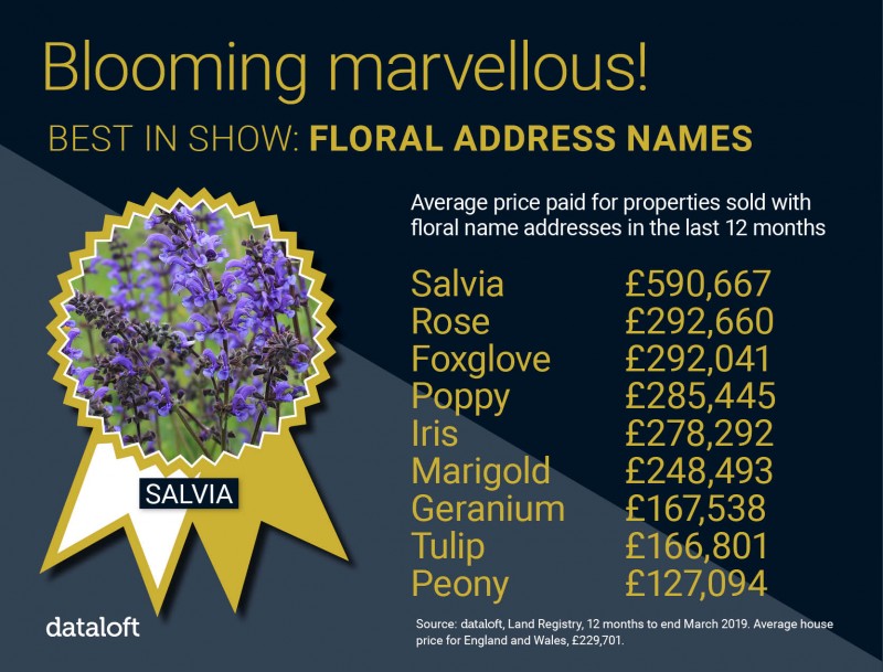 BLOOMING MARVELLOUS!